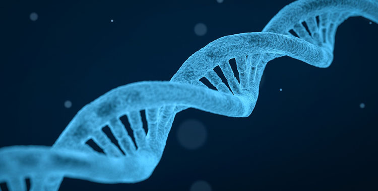 手机端 基因科普